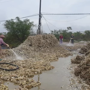 Sản Xuất Thức Ăn Cho Nhuyễn Thể